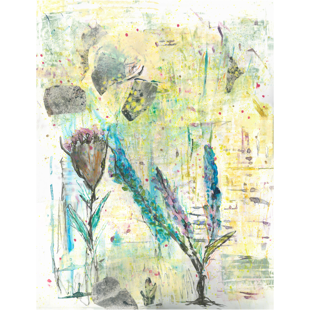 Catalog# JPG 138 - The Simplicity of Life